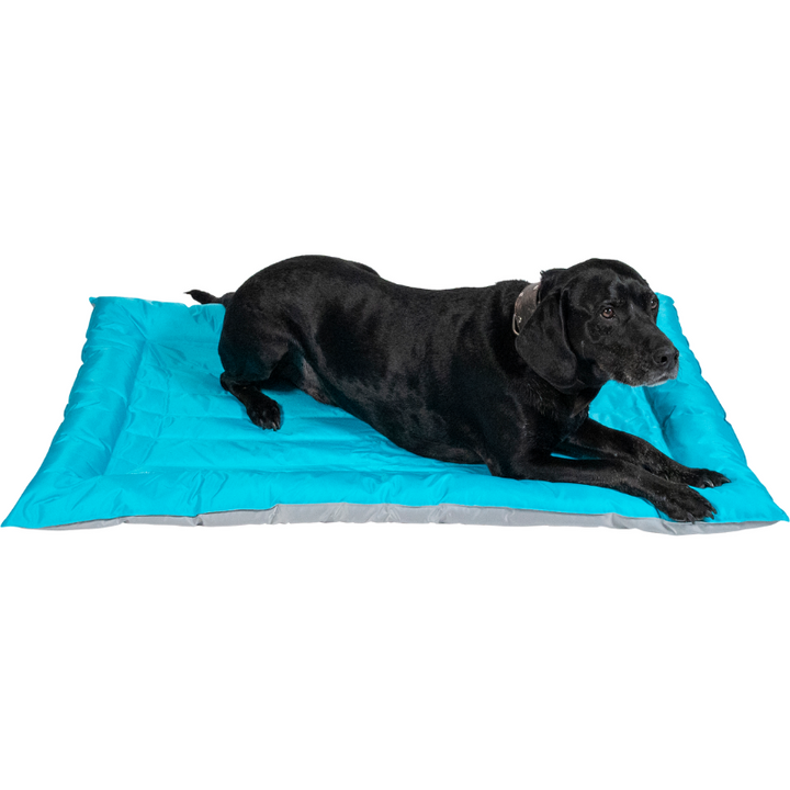 animal-boulevard-pooches-cooling-cushion_720x.png?v=1653836480